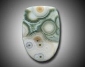 Ocean Jasper  Cabochon  Cab