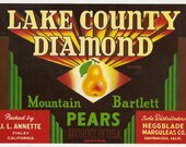 5 Old Vintage PEARS CRATE LABELS