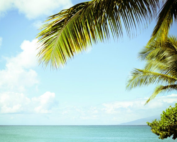 Ocean Photography - aqua blue green seascape sea horizon wall art - coastal decor - turquoise sky clouds  8x10 - "Sea Palms"