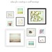 France Photography - French boutique bicycle art print - pale cream beige decor neutral white art 8x10 - La Poule Blanche