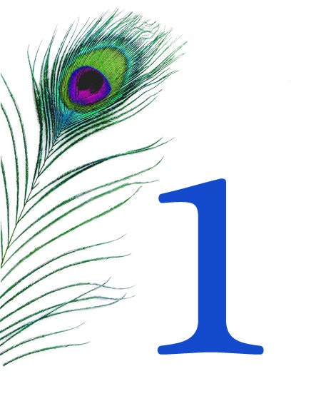 Reserved for Brianne - Peacock Feather Wine Bottle Labels - Tables 1-20