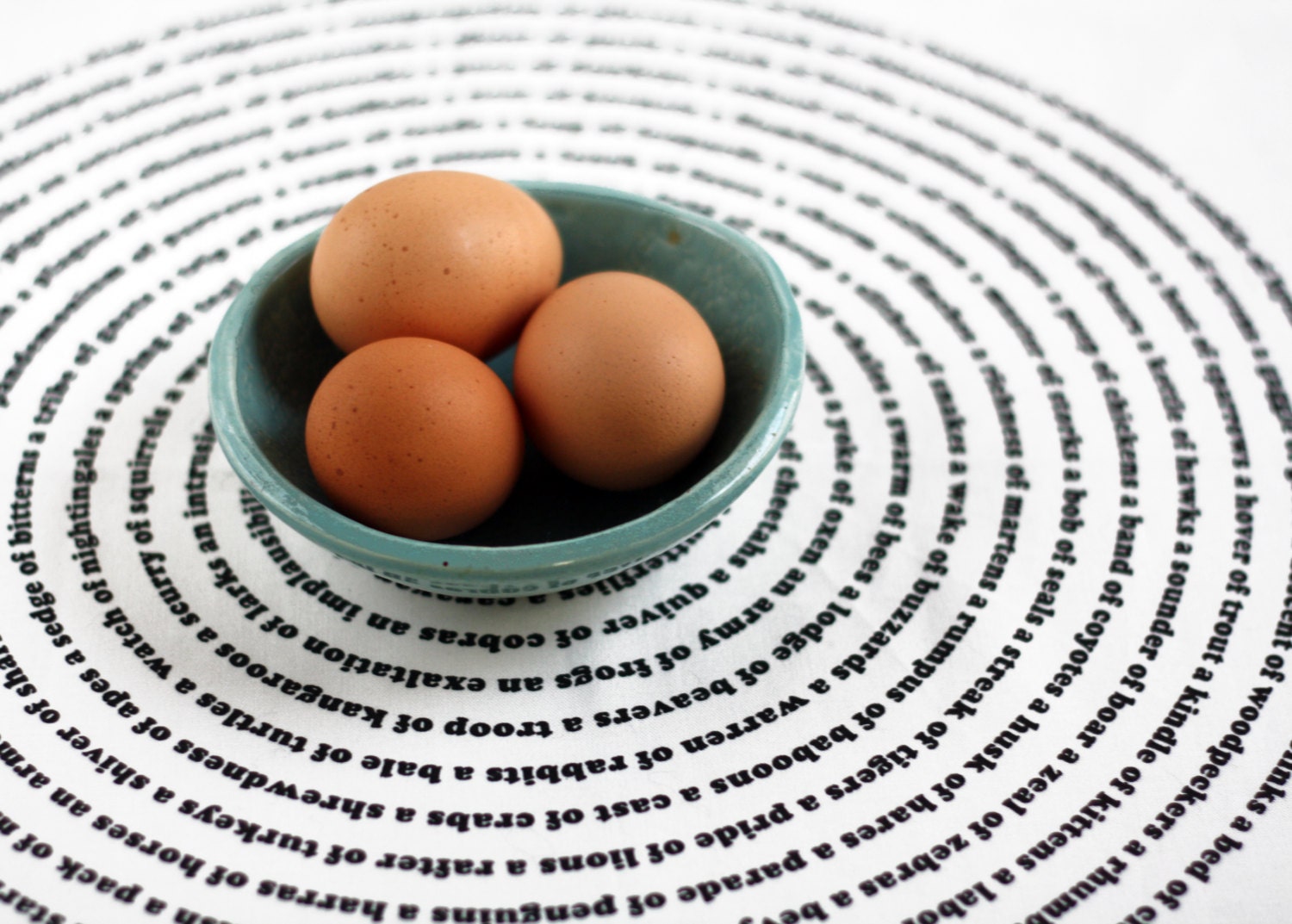 Animal Collective Nouns : Fair-Trade Organic Cotton Tea Towel