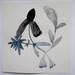 edge of the meadow - botanical series - original watercolour painting