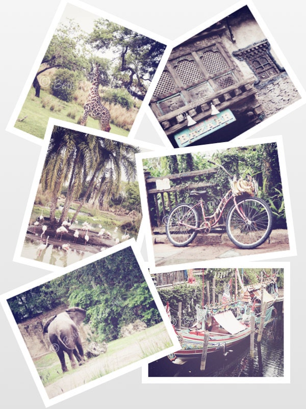 SET OF 6 8x10 Jungle Theme Photography Art Prints giraffe elephant bike village boat animal jungle africa landscape trees brown green