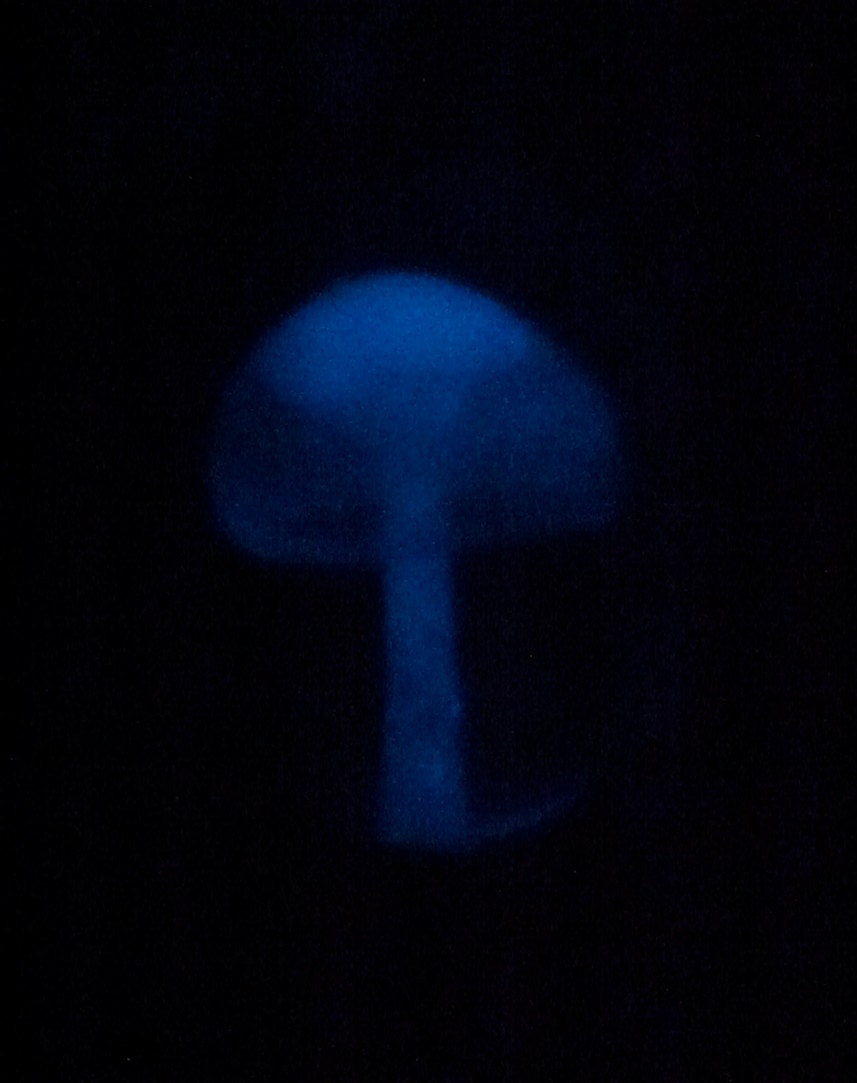 Glass Mushroom Pendant Glows in the Dark