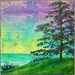 CLEARANCE Cape Arago Big Original 24" x 24" Mixed Media Tree Seascape Painting by Christina Colwell, Modern Contemporary Folk Art