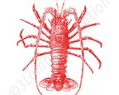 Lobster Ocean Beach Print 8 x 10 Nautical Summer Home Decor Illustration