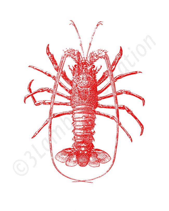 Lobster Ocean Beach Print 8 x 10 Nautical Summer Home Decor Illustration