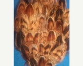 ON SALE Brown, brown clip, brown feather, feather,valentines day, ready to ship, brown feather clip, pin up, burlesque, holiday