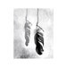 Found feather black and white shadow