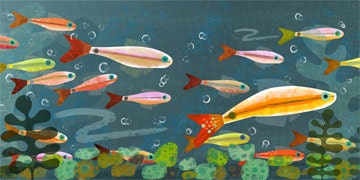 Minnows 11x14