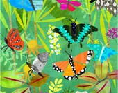 Butterfly Pavillion 11x14
