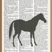Horse Silhouette--Vintage Dictionary Art Print---Fits 8x10 Mat or Frame