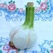 Garlic Cruet Bottle Figural Vinegar Oil Decanter Flower Vase Made in Italy Kitchen Decor