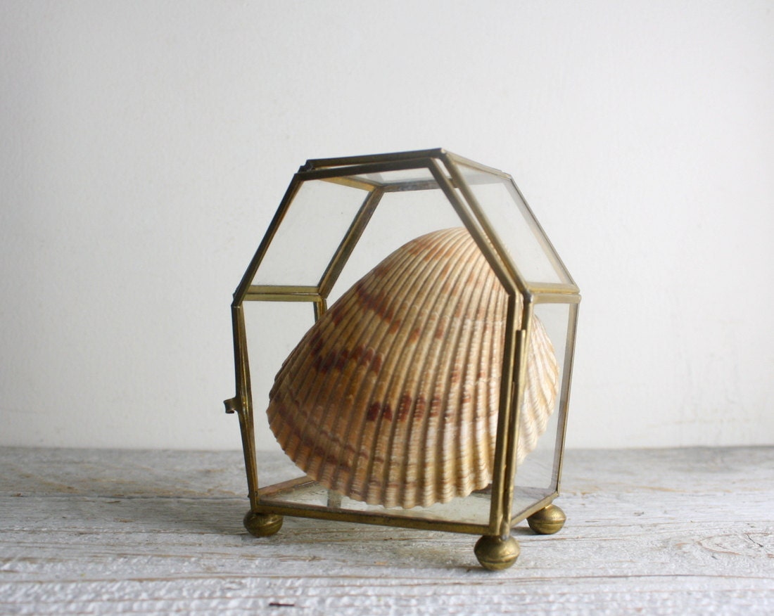 Vintage Brass and Glass Display Box