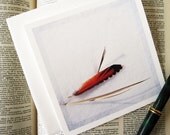 Feather Card -Nature Cards -Minimalist Art -Colorado Cards -Blank Note Cards -Fine Art Card -Square Cards -Blank Greeting Cards
