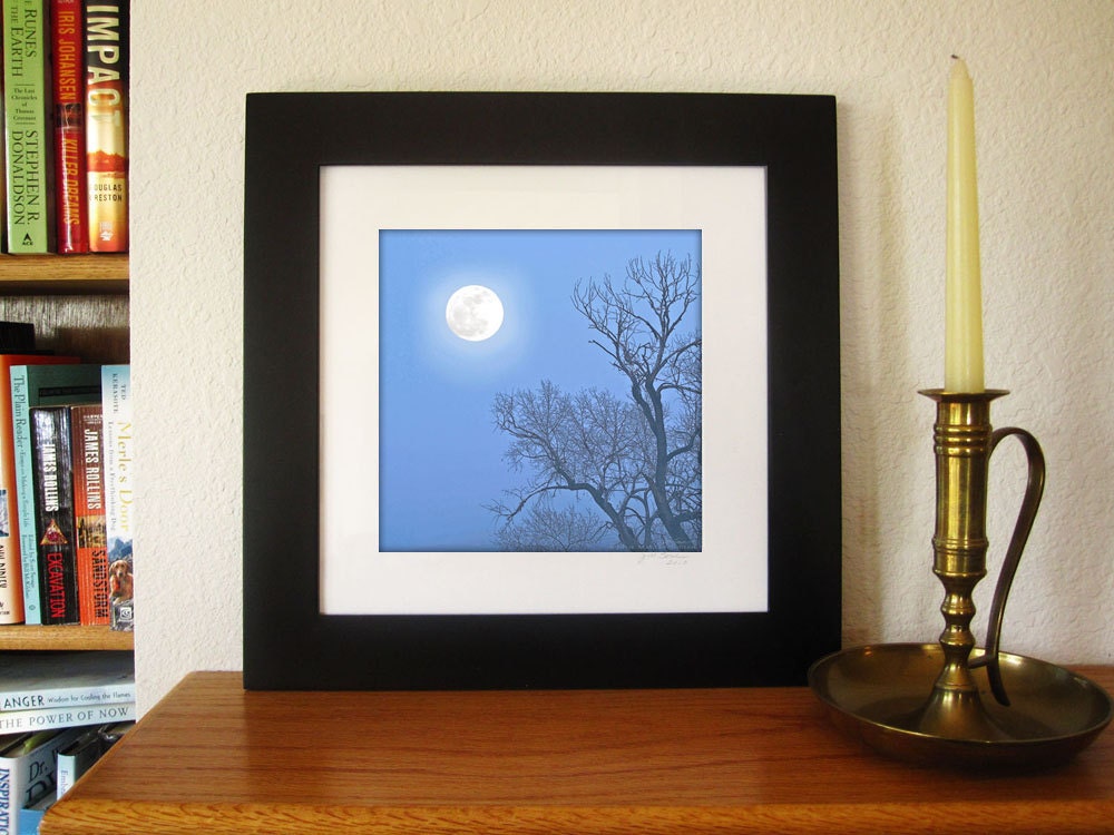 Night Photography Blue Moon -8x8 Print -Bare Tree -Full Moon -Blue Decor -Minimalist Art -Home Decor Art -Colorado Photography -Square Art