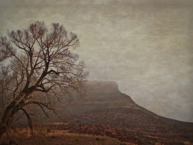 Landscape Photography -Old West Photos -12x16 Print -Mountain Landscape -Bare Tree -Mesa Dreams -Home Decor Art -Colorado Photography