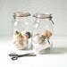 2 Large Glass Jars - French - Glass Lids - Canisters
