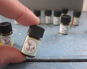 Jasmine Grandiflorum Absolute Essential Oil (100% Pure Undiluted) 2ml