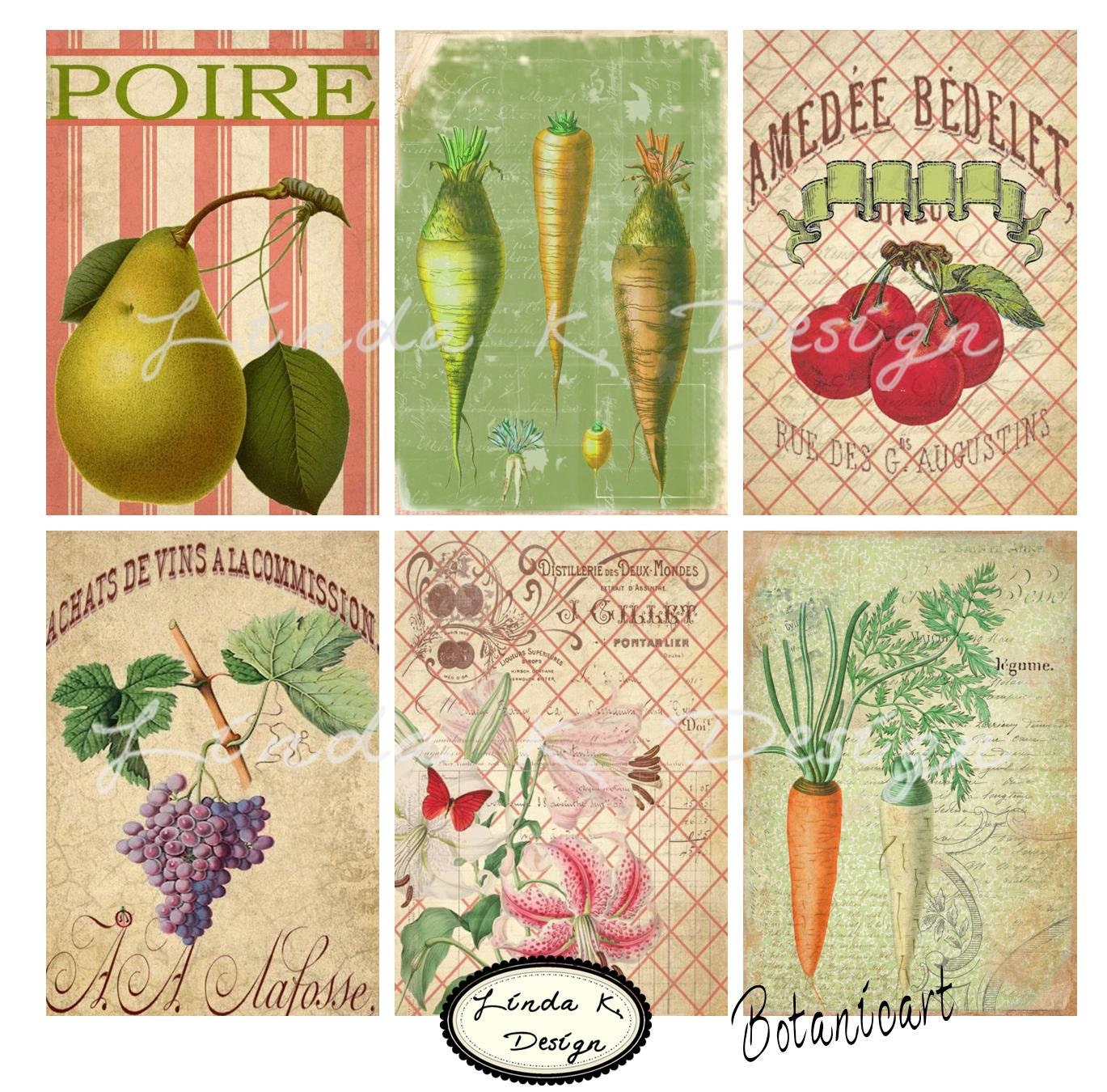 Botanicart Collage Sheet--Digital Scrapbooking-Collage Sheet-Digital Card-Digital Image