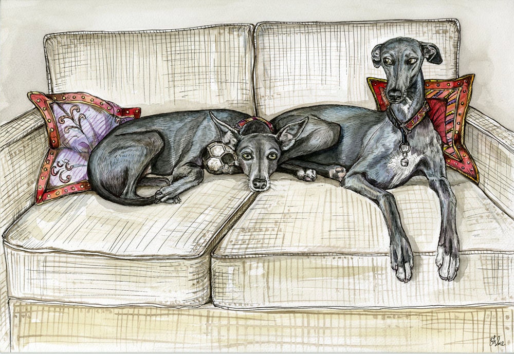 A Little Envy - Whippet Art Dog Print
