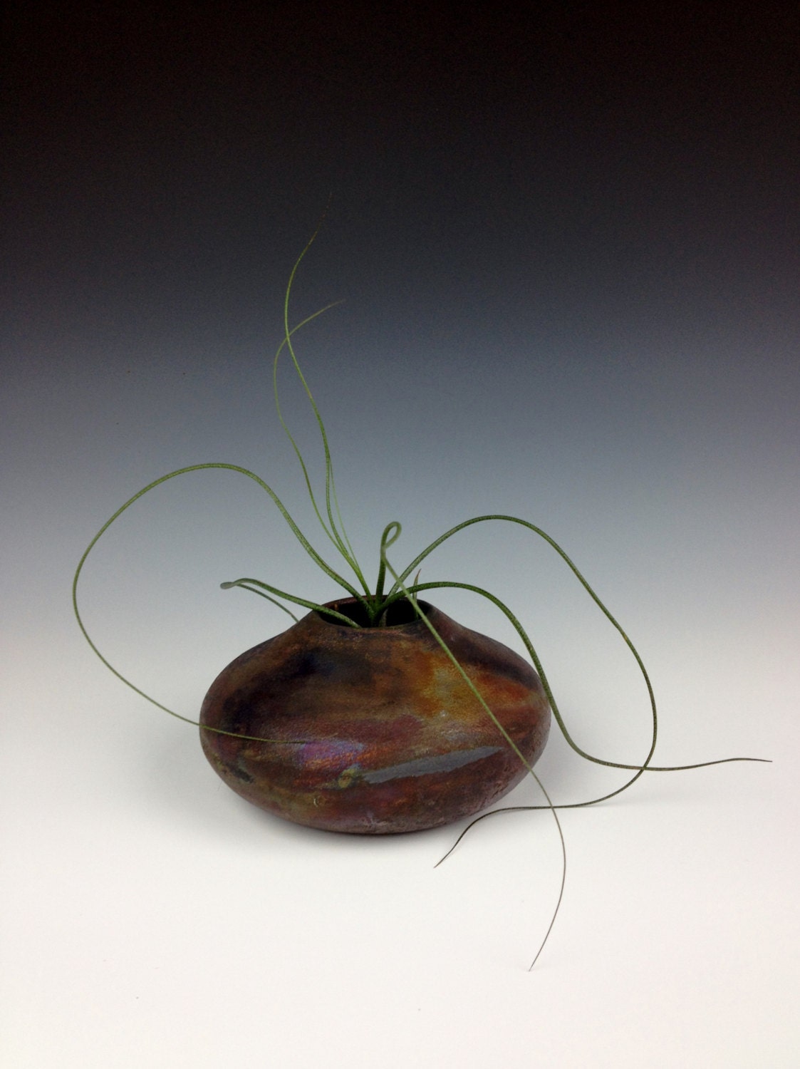 Satin Copper Raku Air Plant Vase
