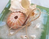 Beach Wedding Shell and Sand Beach Pink Sea Urchin Wedding Ring Bearer Pillow O.O.A.K