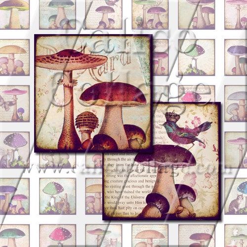 NEW Mushrooms - Instant Download Digital Collage Sheet - 1x1 Inch Inchies 130