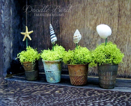 Thimble Planters / Nautical Beach Decor / Miniature Air Plant Containers / Real Sea Shells & Starfish / Collectible Party Favors