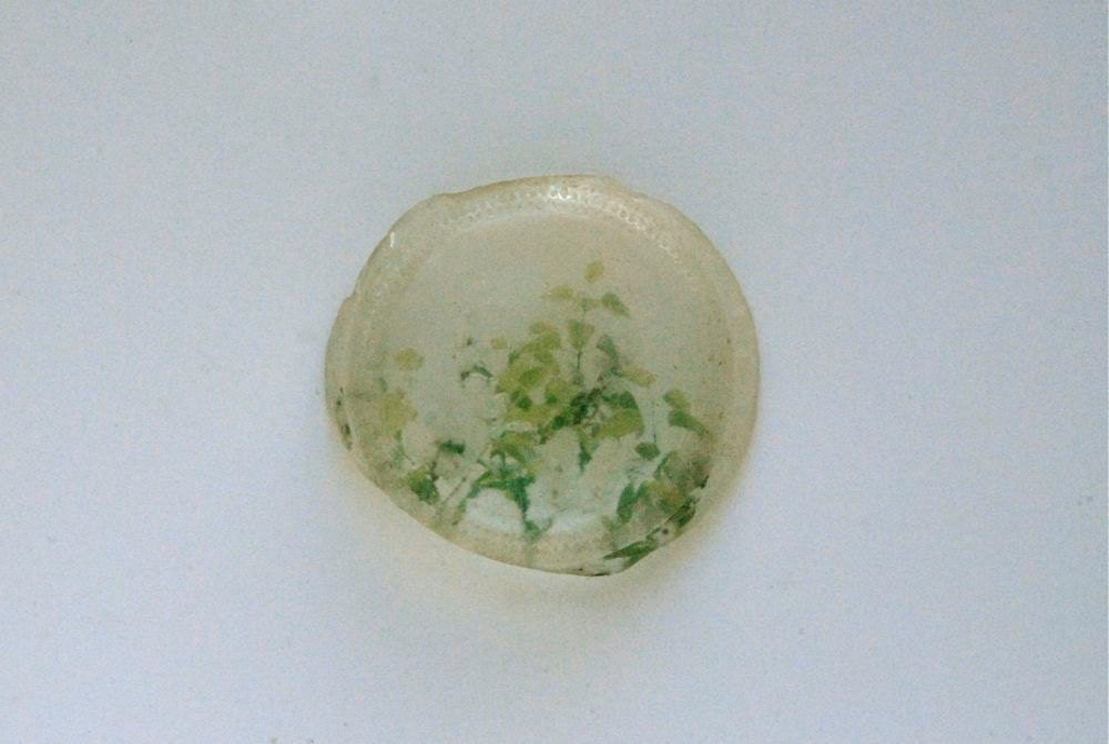sky holds leaf - emulsion lift polaroid photo on beach glass original