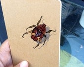 Bug Book, Painted Moleskine Pocket Journal
