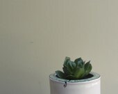Succulent planter, mint green, tall oval stripe planter, spring garden succulent pot