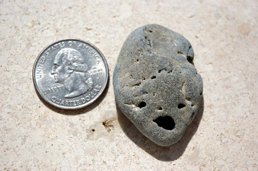 ALIEN. Genuine holey sea stone.