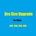 Bra Size Upgrade