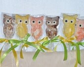 Owl Lollipops