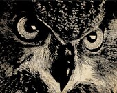 owls face bird digital image abstract art animal graphics for commercial use