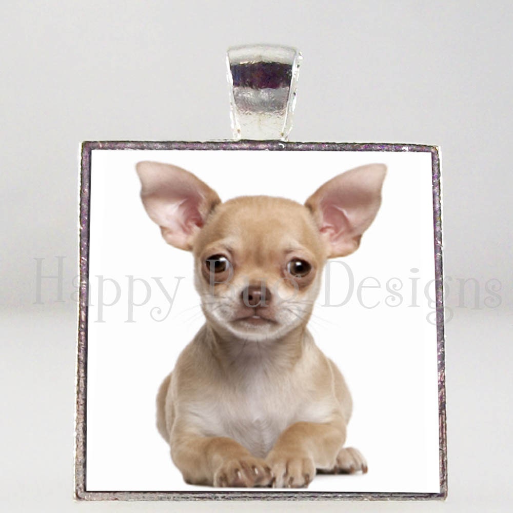 Chihuahua Pendant 1" Square