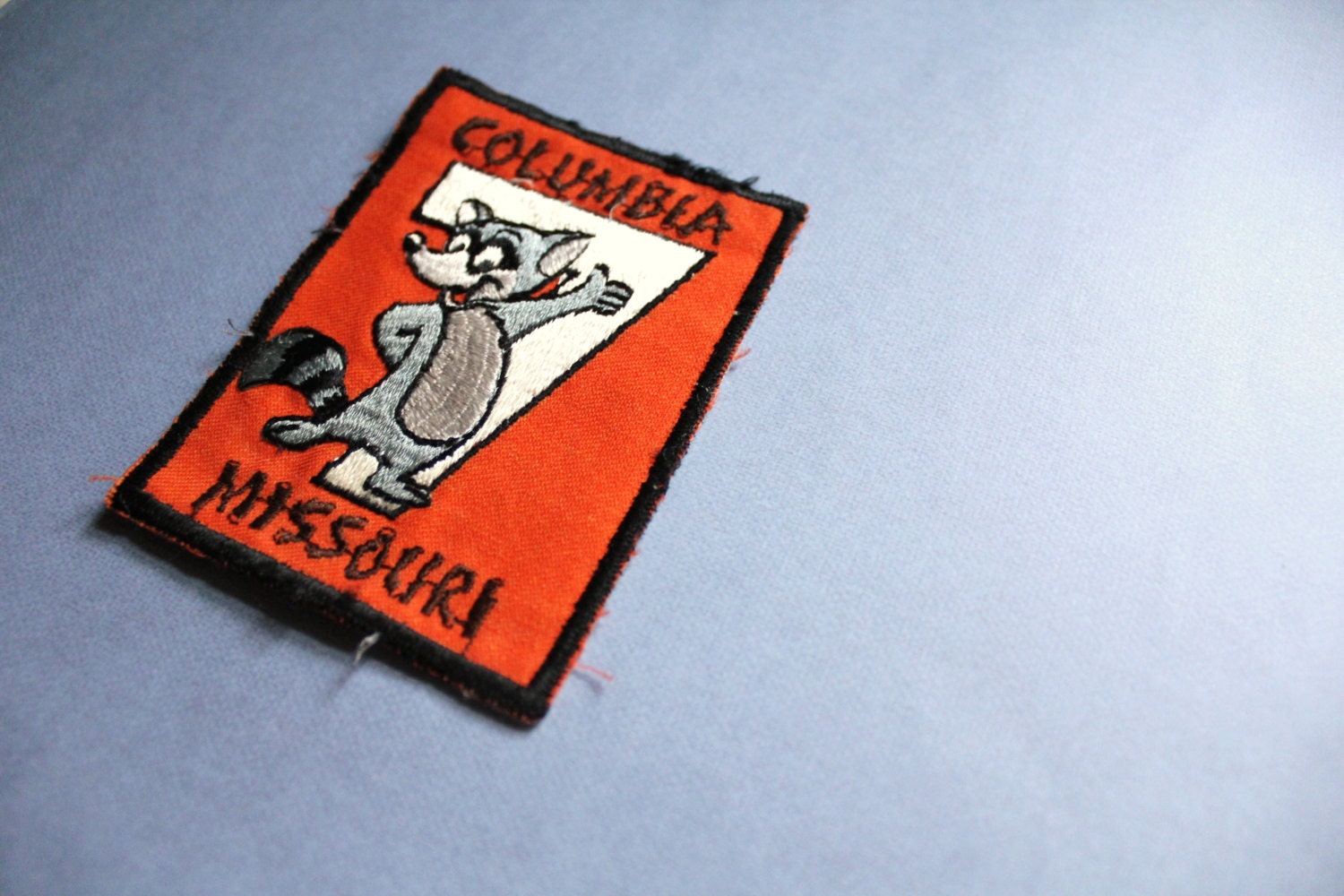Vintage Raccoon Patch