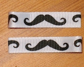 Mustache Hair Clippies...Everyday Collection
