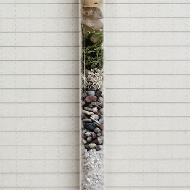 Large Terrarium Necklace  - Moss, Glass Vial, Oregon Sunstone