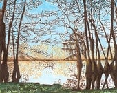 Cypress Trees by Lake Original Fine Art Print