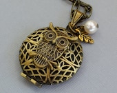 Owl Locket Necklace, Antique Brass Locket Necklace, Owl Jewelry, Locket Necklaces
