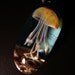 Jellyfish Coral Pendant, wearable art, handmade borosilicate glass, with satin cord, clasp and gift bag, unique gift, FREE SHIPPING
