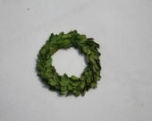 Boxwood Wreath 6 Inch