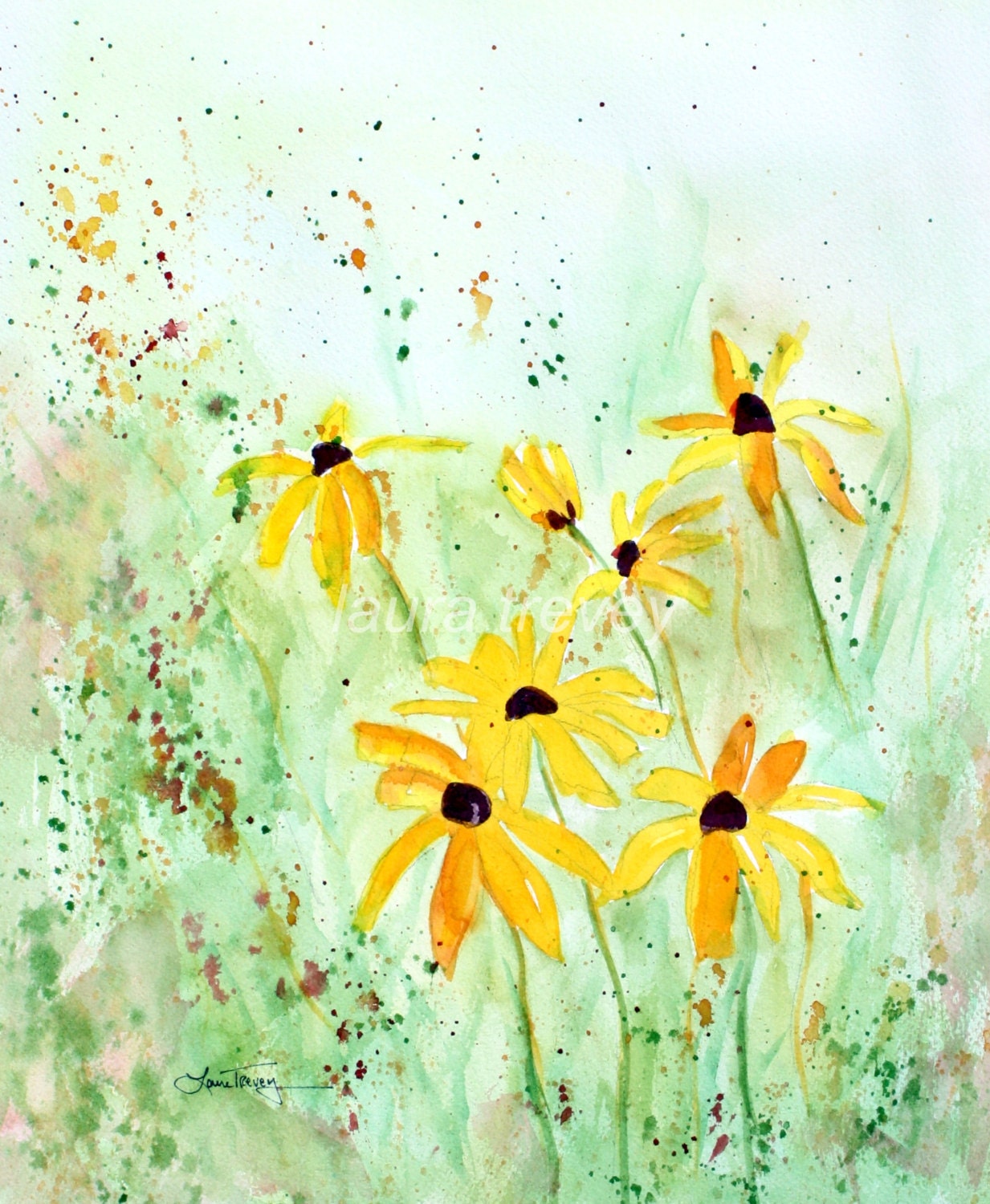 Black Eyed Susans
