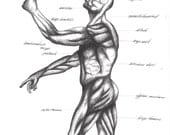 Cross-Hatching Art Drawing Anatomy Lesson Video - Waldorf