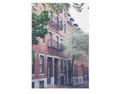Fine Art Boston Photography. Beacon Hill Street. Boston. Brick Brownstones. Shutters. Spring. Cherry Blossoms. Home Decor.