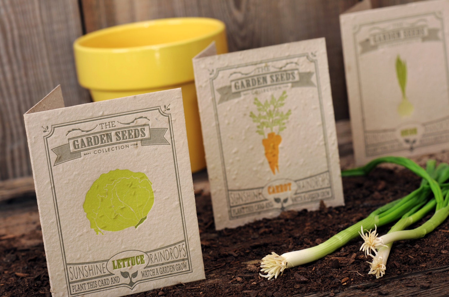Garden Seeded Letterpress Greeting Cards Boxed Set - Vegetable Plantable Eco Recycled Grow