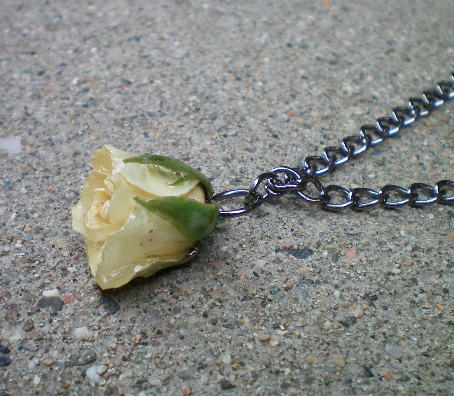 REAL Delicate Cream White ROSEBUD Adjustable Gun Metal or Sterling Silver Chain Necklace